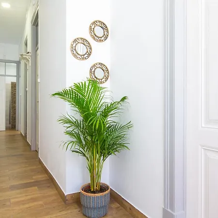 Cosy Guest house Faro